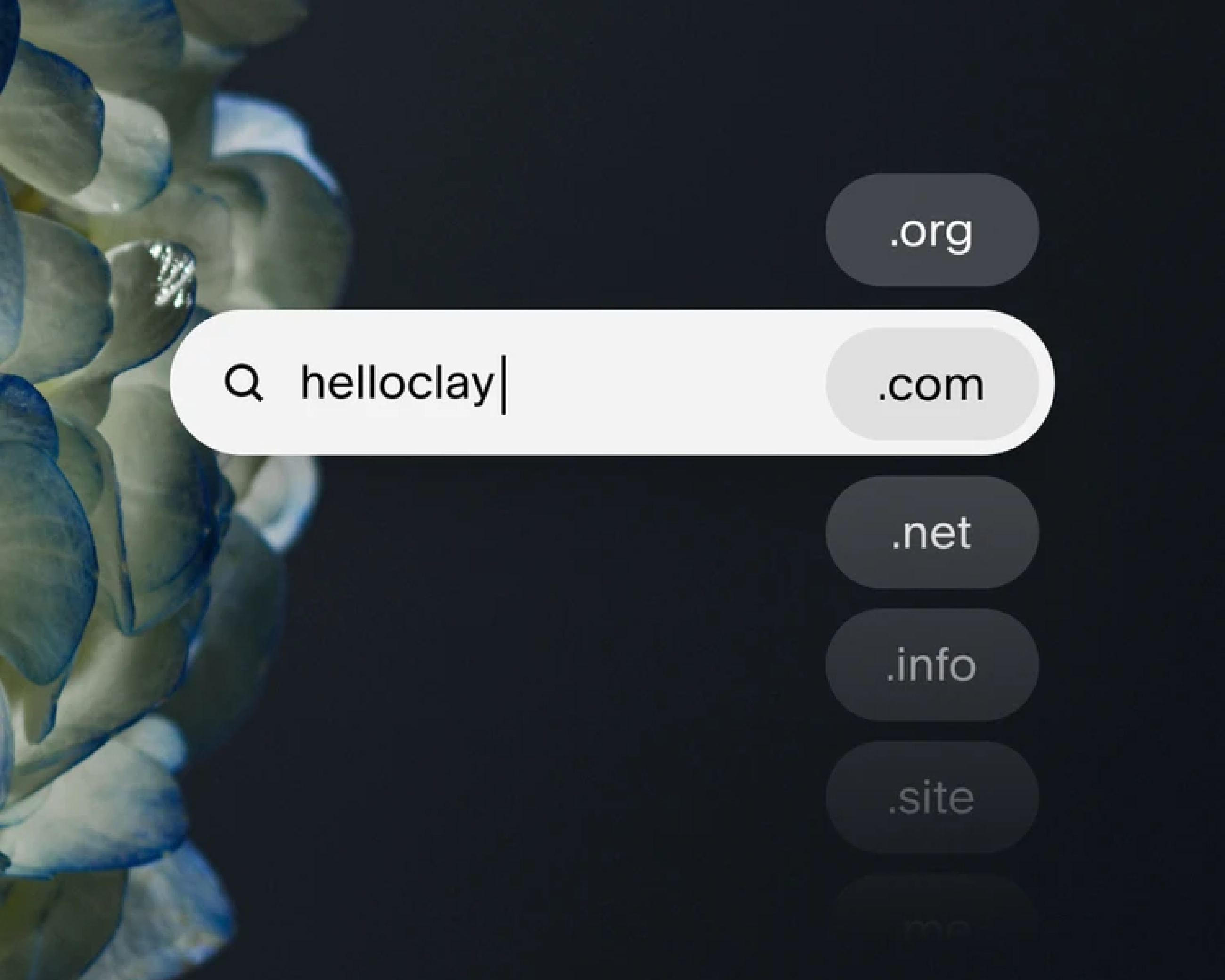 Pilih Domain mu